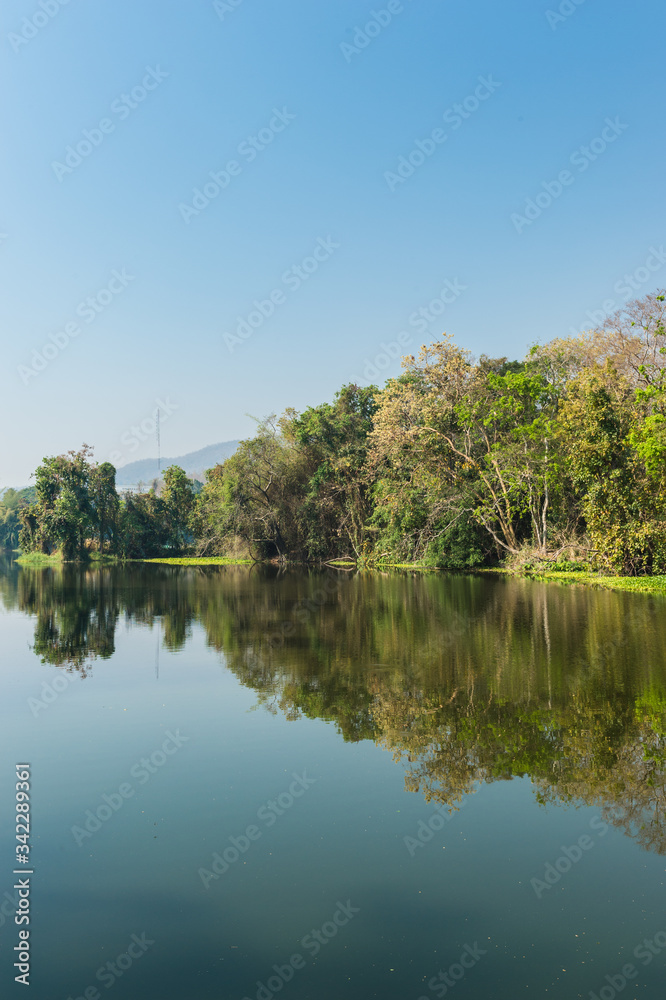 Pond and Tree Forest Landscape Pond and Tree Forest Landscape