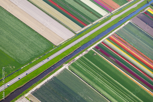 Flower bulb fields aerial view canal