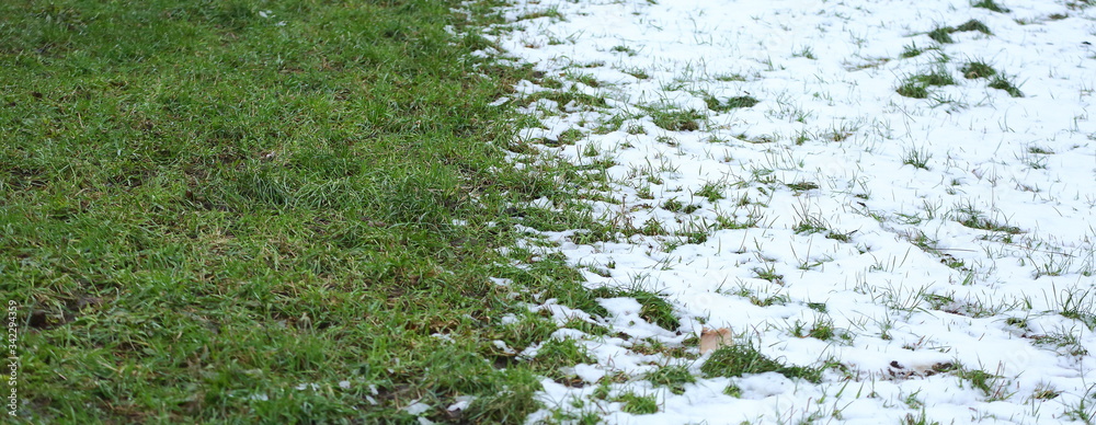 The border of heat and cold that runs through the meadow The border of heat and cold that runs through the meadow