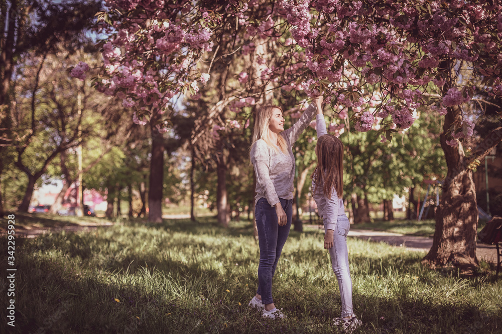 Sakura blossomed. Young mother with her child have fun in the park near the sakura. Spring morning. They look at each other Sakura blossomed. Young mother with her child have fun in the park near the sakura. Spring morning. They look at each other