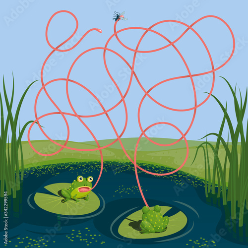 Two frogs tried to catch a mosquito. Guess which of them managed to catch the insect. Children's game picture riddle with a maze