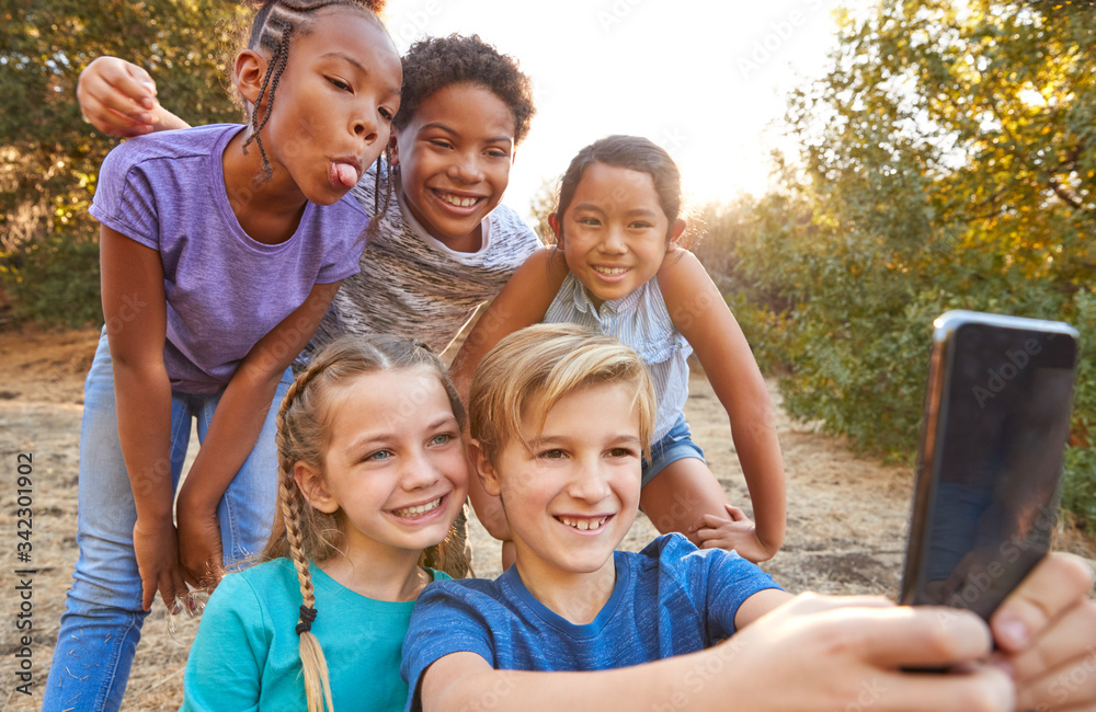 Group Of Multi-Cultural Children Posing For Selfie With Friends In Countryside Together