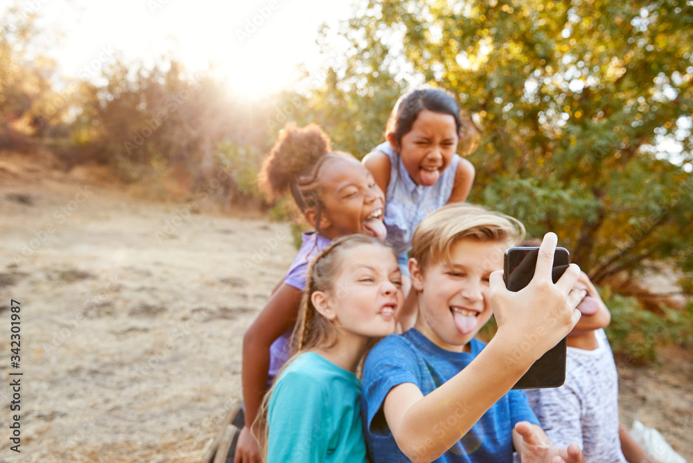 Group Of Multi-Cultural Children Posing For Selfie With Friends In Countryside Together