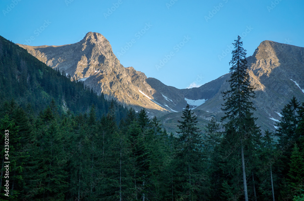 Obraz premium Fagaras Mountains