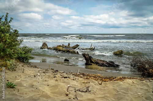 Vászonkép Trunks ashore