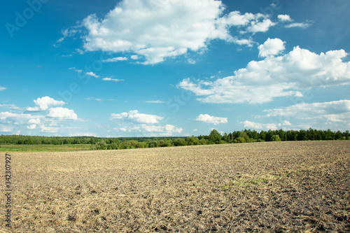 A large plowed field, forest on the horizon and clouds on a blue sky