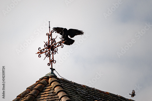 Grand corbeau sur le toit d'une église