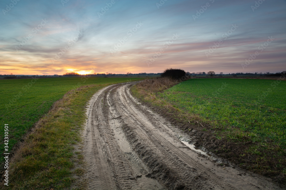 Dirt road through green fields, colorful clouds after sunset