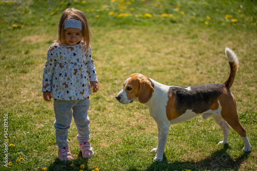 Child standing on a grass with beagle dog best friend in backyard on sunny spring day.