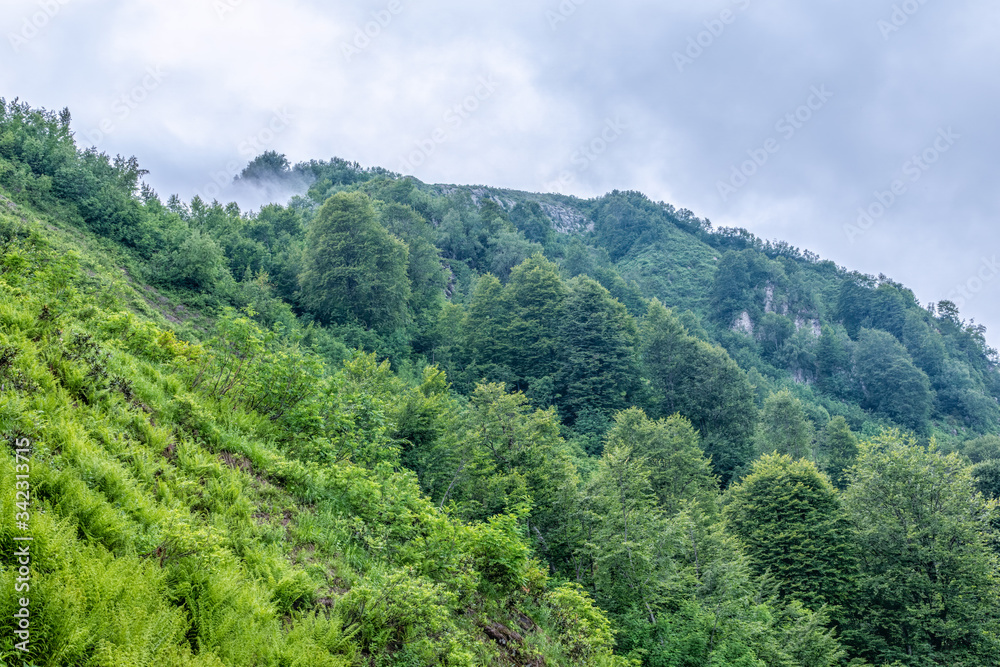 High mountain with green rocky slopes hidden in clouds and fog.