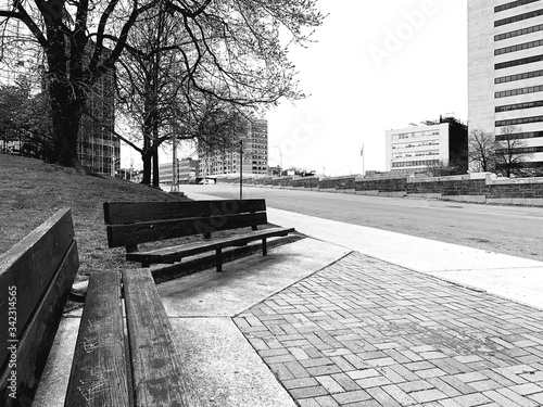 bench in the park