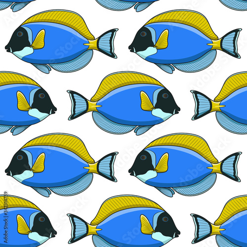 Seamless pattern with fish surgeon. Vector tropical background on white.