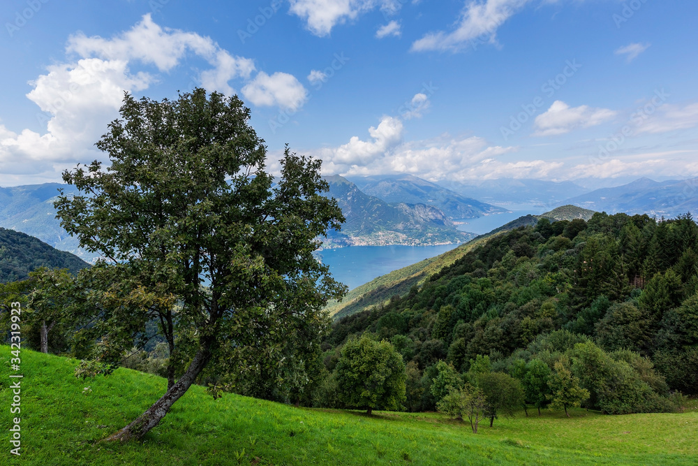 Panoramic view of the Como lake from the Saint Primo Mount, Lombardy, Italy.