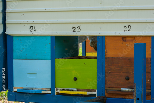 Close up of flying bees. Wooden beehive and bees.Insect