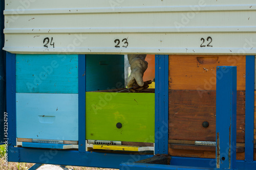 Close up of flying bees. Wooden beehive and bees.Insect