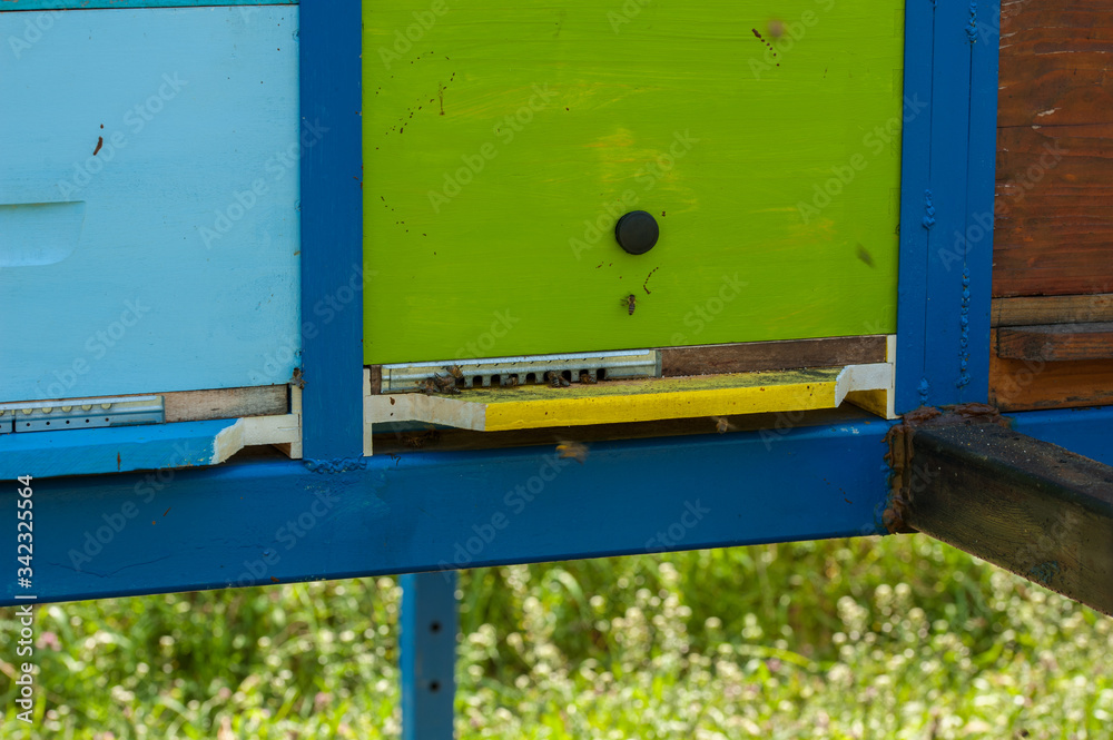 Close up of flying bees. Wooden beehive and bees.Insect Close up of flying bees. Wooden beehive and bees.Insect