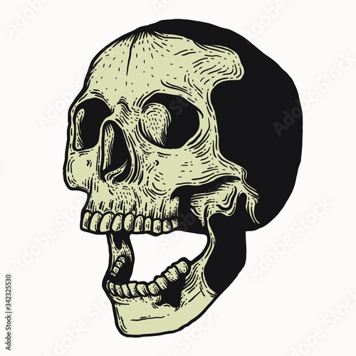 Skull vintage engraving style isolated vector hand drawn illustration for graphic design and creative projects. stamp logo emblem, retro branding and tattoo design