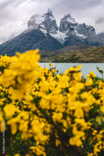 Contrasti di colori in Patagonia Cilena, Torres del Paine © Simone