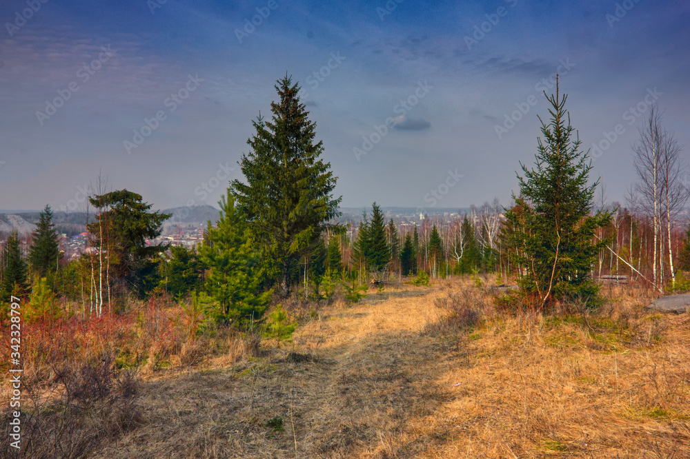 Forest meadow field landscape. Early spring forest meadow view. Forest meadow scene. Forest meadow field landscape. Early spring forest meadow view. Forest meadow scene.