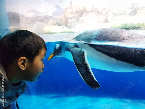 Close-up Of Boy Looking At Penguin In Aquarium Fototapet