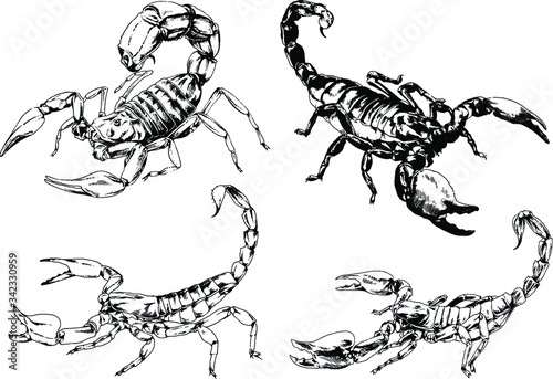 vector drawings sketches different insects bugs Scorpions spiders drawn in ink by hand   objects with no background