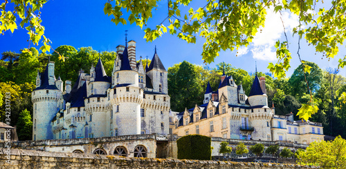 Beautiful fairy tale Usse castle - famous castles of Loure valley, France photo