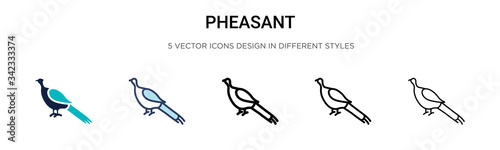 Pheasant icon in filled, thin line, outline and stroke style. Vector illustration of two colored and black pheasant vector icons designs can be used for mobile, ui, web