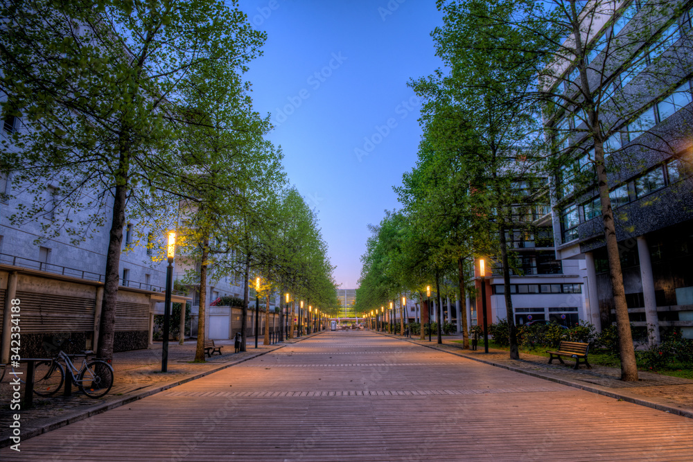 rue pavée du centre ville de Nantes au lever du jour avec allée d'arbre