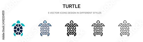 Turtle icon in filled, thin line, outline and stroke style. Vector illustration of two colored and black turtle vector icons designs can be used for mobile, ui, web