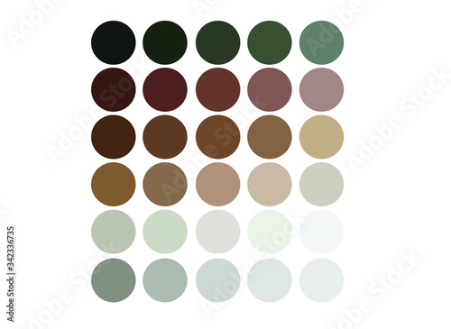neutrals color palette, procreate  swatches