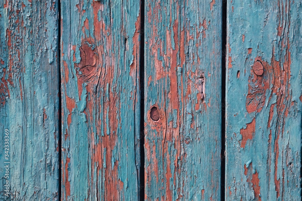 Obraz premium Brown old painted boards closeup background. Texture of blue peeling paint on a wooden surface. Narrow Village Fence Planks. vertical lines on grunge wood fence.
