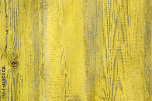 Wallpaper Mural Brightly yellow painted paint board close-up. Wooden surface with texture top view. Perfect as a background for Summer Holiday or seaside themes. Torontodigital.ca
