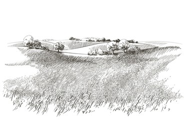 Canvas schilderij Wit Vector sketch Green grass field on small hills. Meadow, alkali, lye, grassland, pommel, lea, pasturage, farm. Rural scenery landscape panorama of countryside pastures. illustration  © mozart3737