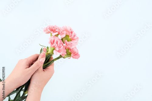 Mother's Day background, carnation bunch - Beautiful pale pink flower bouquet isolated on pastel blue table, top view, flat lay, copy space design.