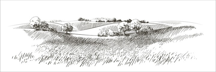 Canvas schilderij Wit Vector sketch Green grass field on small hills. Meadow, alkali, lye, grassland, pommel, lea, pasturage, farm. Rural scenery landscape panorama of countryside pastures. illustration  © mozart3737