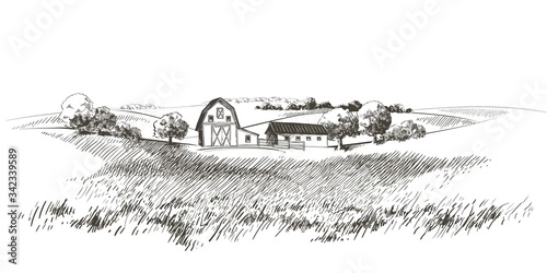 Vector sketch Green grass field on small hills. Meadow, alkali, lye, grassland, pommel, lea, pasturage, farm. Rural scenery landscape panorama of countryside pastures. illustration