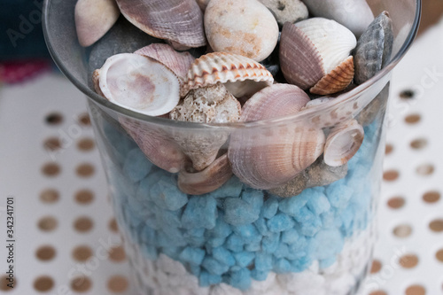 Sea stones and shells in the vase