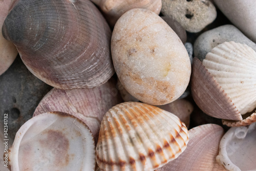Sea stones and shells big plan background