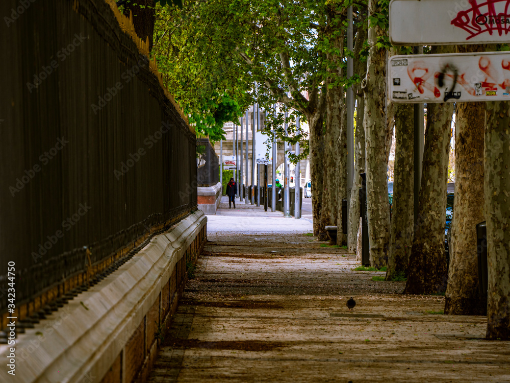 Fototapeta premium Madrid / Spain-04/19/20 sidewalk outside the urban park of the good retirement of madrid. completely empty due to the covid pandemic 19.cala alcala