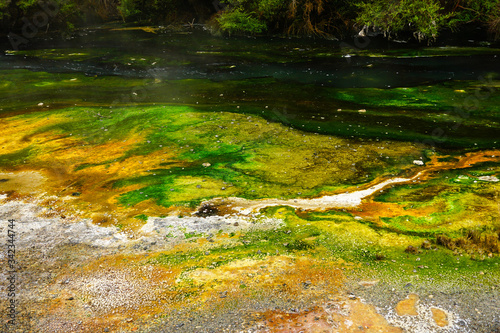 Fototapeta Naklejka Na Ścianę i Meble -  WAIMANGU VOLCANIC VALLEY, NEW ZEALAND - MARCH 03, 2020: Multicoloured shore of a acidic river with a strange patterns
