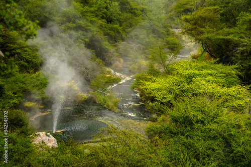 WAIMANGU VOLCANIC VALLEY, NEW ZEALAND - MARCH 03, 2020: Geyser and a green pools around it in the jungle forest 
