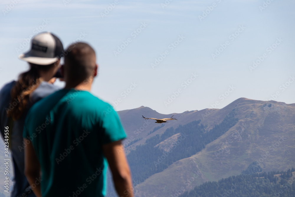 Naklejka premium pareja de chicos mirando u observando un ave