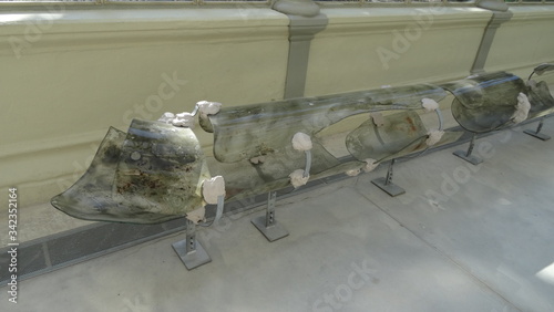 Madrid is the capital of Spain, a beautiful city