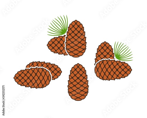 Pine nut logo. Isolated pine nut on white background. Cedar