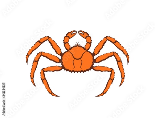 King crab logo. Isolated king crab on white background