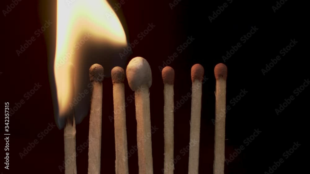 Pandemic spreading concept with matches on black isolated background Pandemic spreading concept with matches on black isolated background