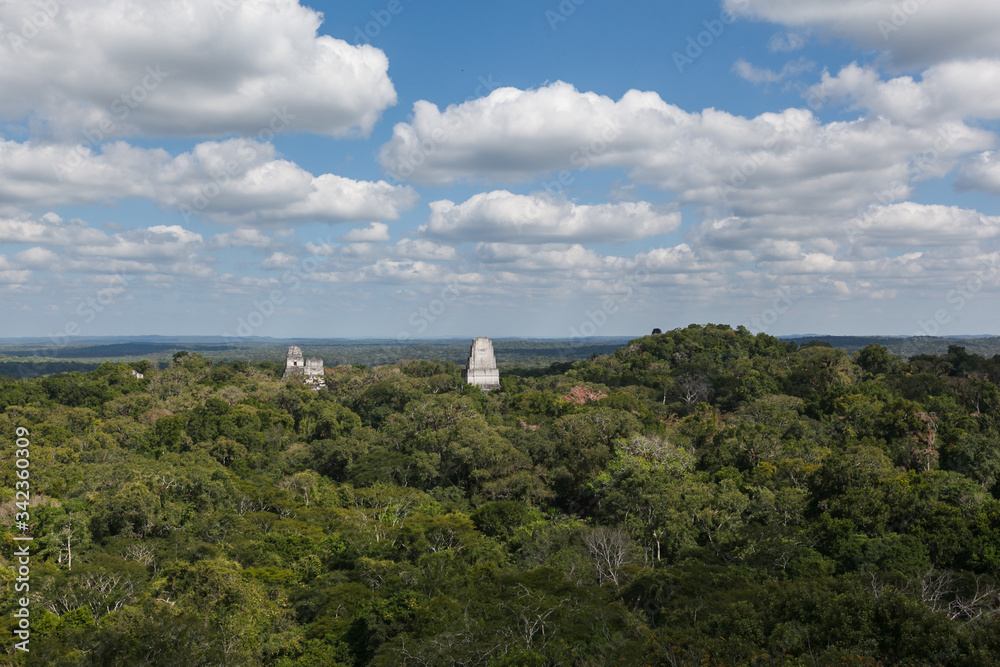 Mayan temple pyramids archeological excavation in Tikal national park green rainforest 