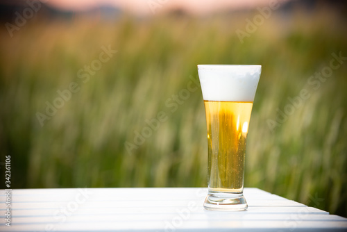 麦畑と生ビール
