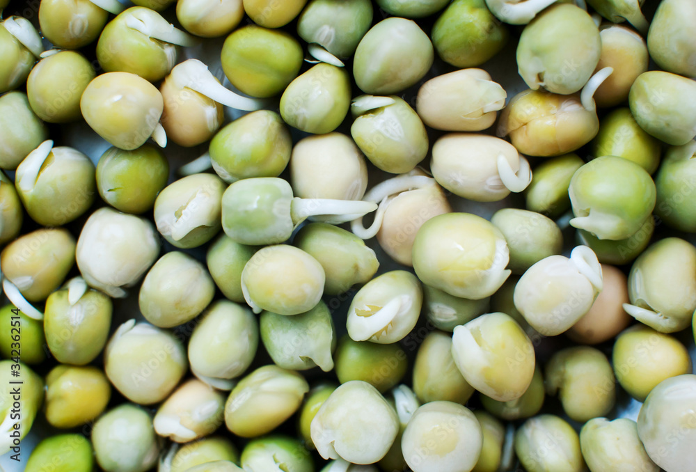 Sprouted green peas close-up, top view, macro Sprouted green peas close-up, top view, macro