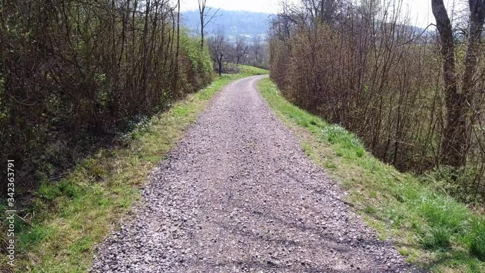 Path with pebbles in springtime with trees and meadow Path with pebbles in springtime with trees and meadow